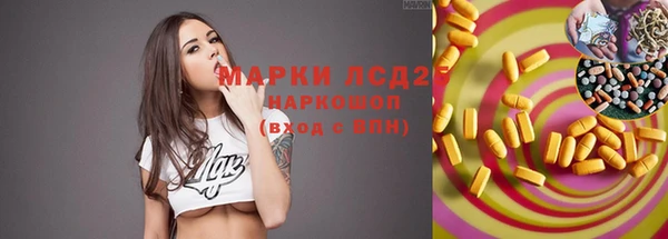 гидропоника Магас
