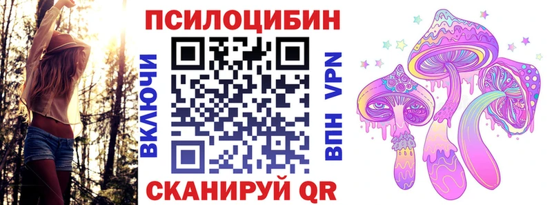 Купить закладки  Мелеуз  Псилоцибиновые грибы Psilocybe 